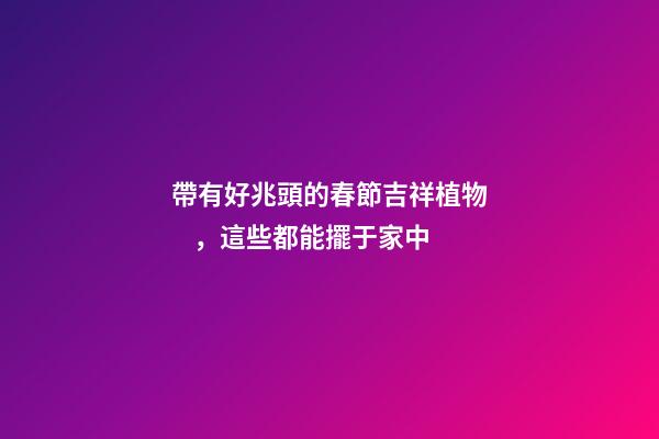 帶有好兆頭的春節吉祥植物，這些都能擺于家中